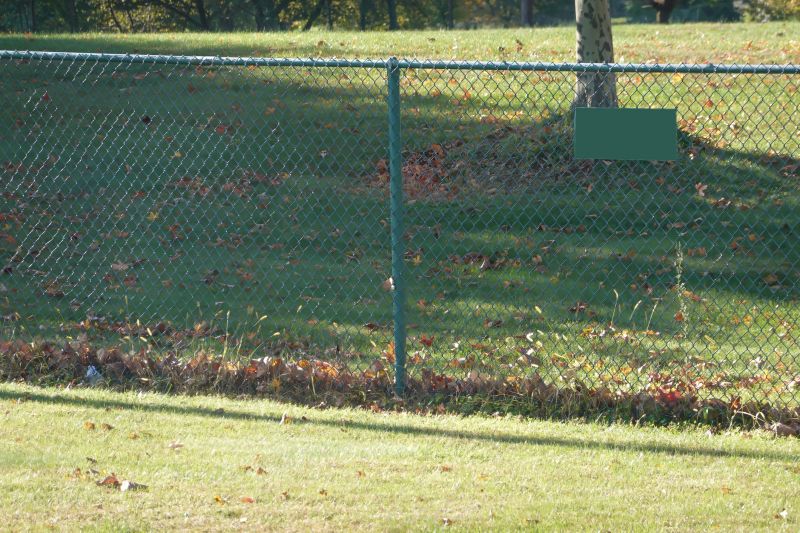 Fall Upkeep and Adjustments